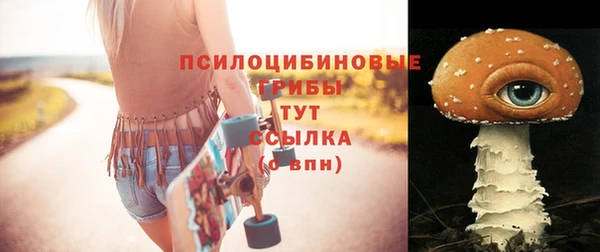 сатива Приозерск